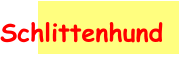 Schlittenhund
